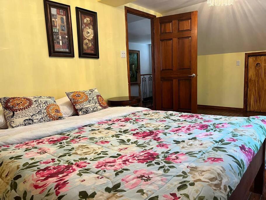 Petite Maison 2 Bedrooms Lévis Eksteriør billede