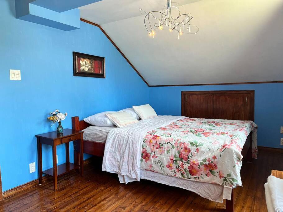 Petite Maison 2 Bedrooms Lévis Eksteriør billede